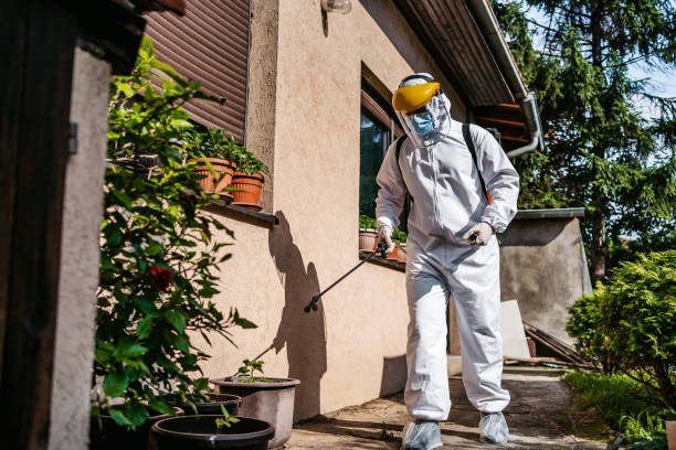 Best Emergency Pest Control  in Demopolis, AL