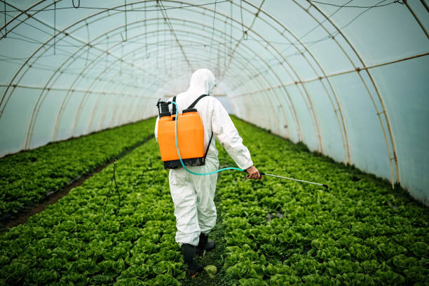 Best Mosquito Control Services  in Demopolis, AL