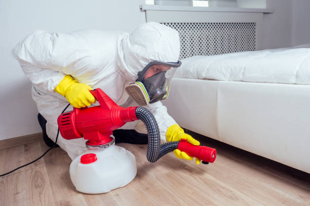 Best Flea Control Services  in Demopolis, AL