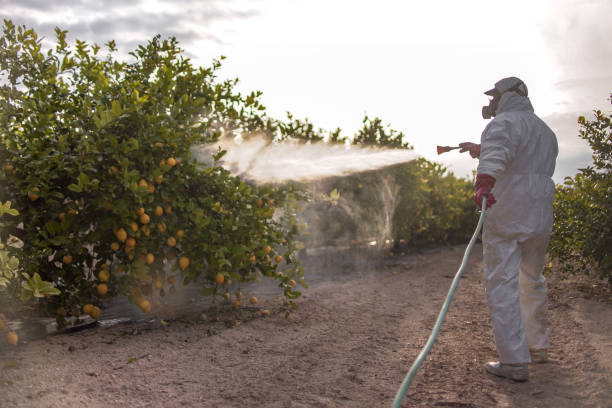 Best Insect Control  in Demopolis, AL