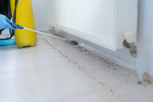 Best Pest Removal Services  in Demopolis, AL