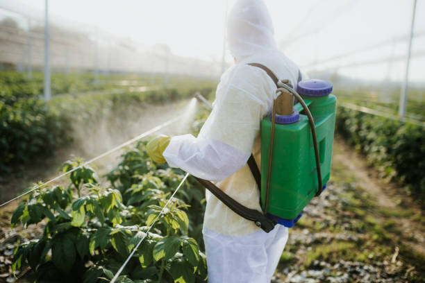 Best Pest Inspection Near Me  in Demopolis, AL